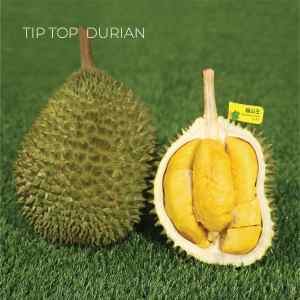 Musang King