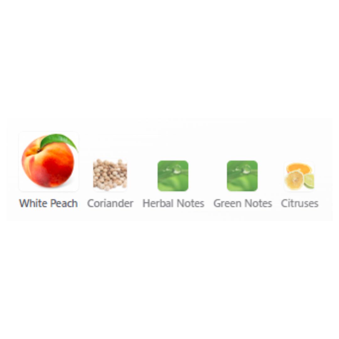 https://prestodirect.oss-ap-southeast-3.aliyuncs.com/supplier/products/202609/7dc3d2430cb905a9e3f5e248fb61f2fa.jpg